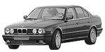 BMW E34 C0420 Fault Code